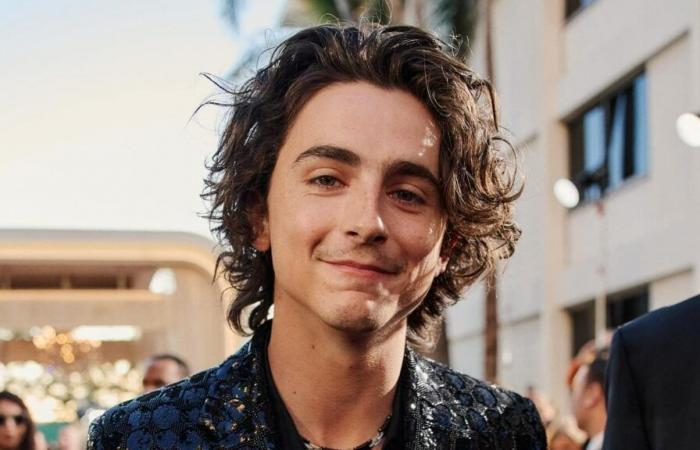 Timothée Chalamet says an agent advised him to “gain weight” to succeed in his debut