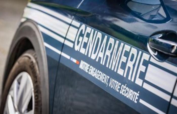 The bodies of three children, aged 2 to 13, found in a house in Haute-Savoie