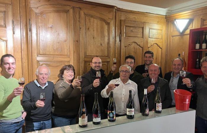 “A good vintage” to discover during the 31st edition of the Balade du Primeur in the Rhone Gard