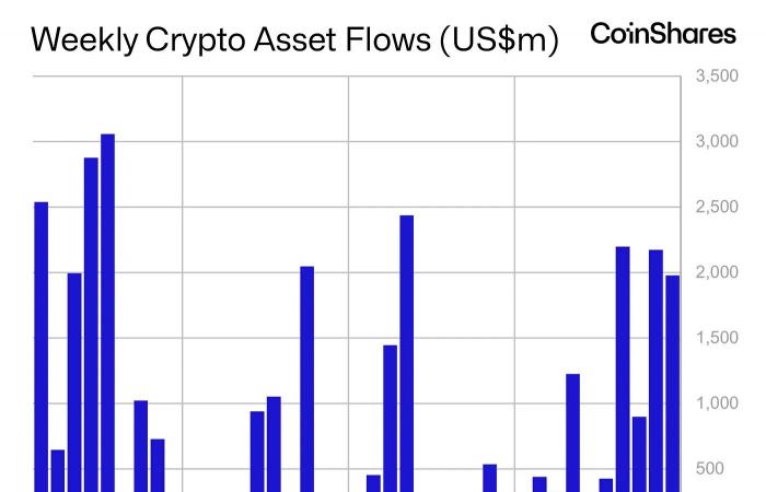 Best Crypto to Buy Now November 11