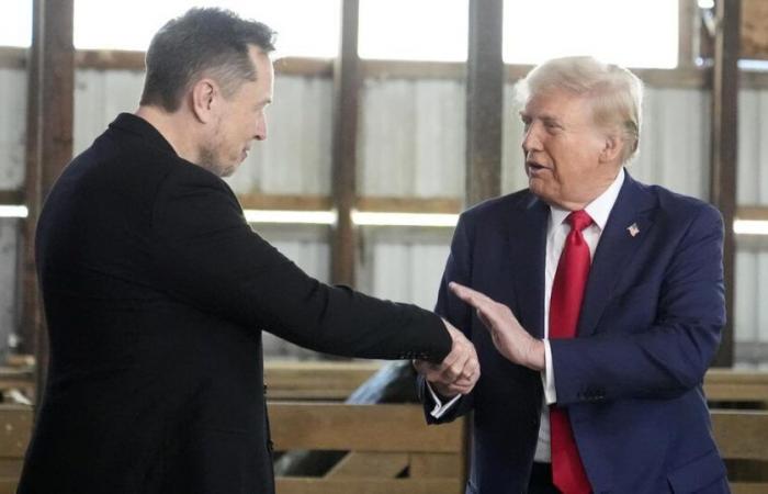 Donald Trump appoints Elon Musk to head new ministry of “government efficiency” – rts.ch