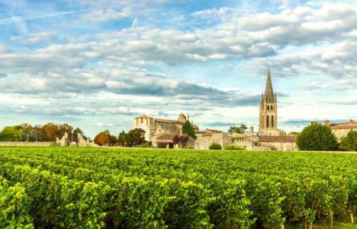 Why sparkling wine could save the Bordeaux vineyards from the doldrums