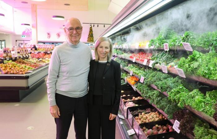 Avril Supermarkets | Organic products and braised beef, the secret to success?