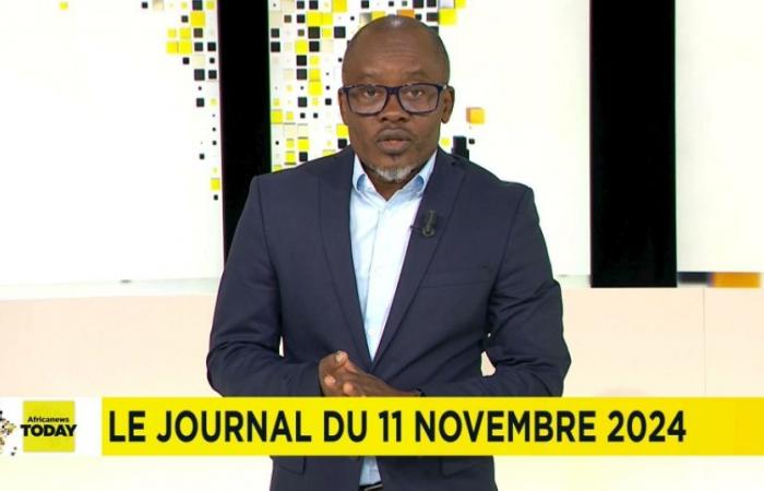 African news from November 11, 2024