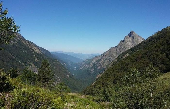 Ariège: The astonishing Orlu hunting and protection reserve, a living sanctuary