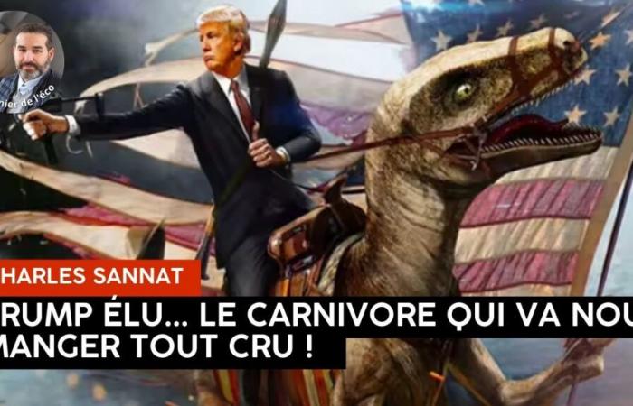 “Elected Trump, he will eat us alive! “. Charles SANNAT’s editorial