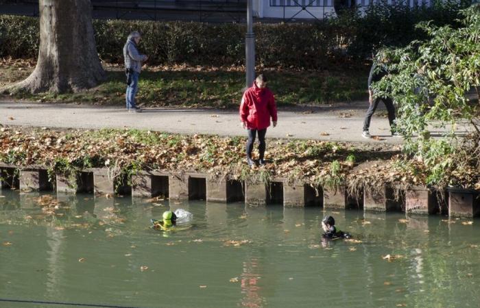 Toulouse. Fished out of the Canal du Midi, a man between life and death