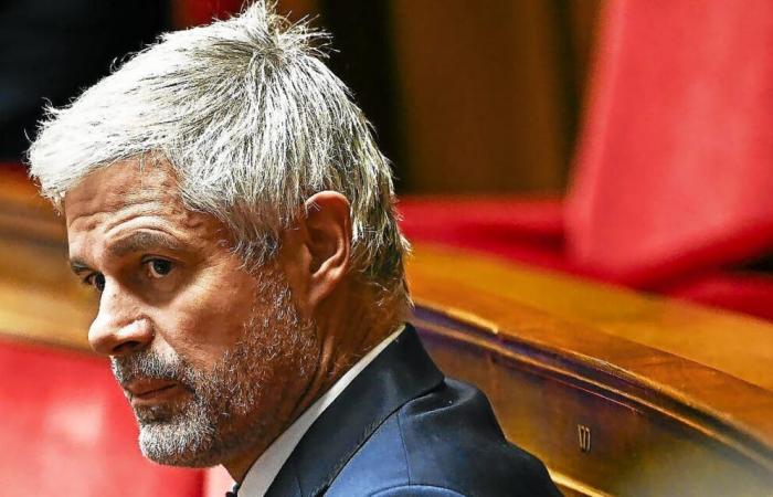 Pensions will finally be revalued on January 1, announces Laurent Wauquiez