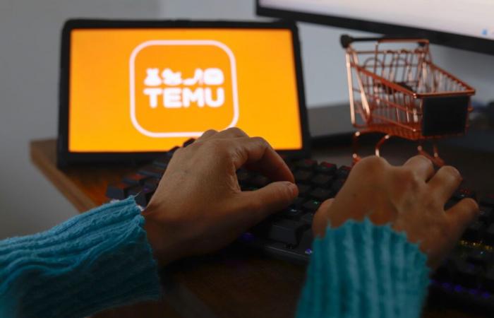 EU takes action against online marketplace Temu for potential consumer law violations