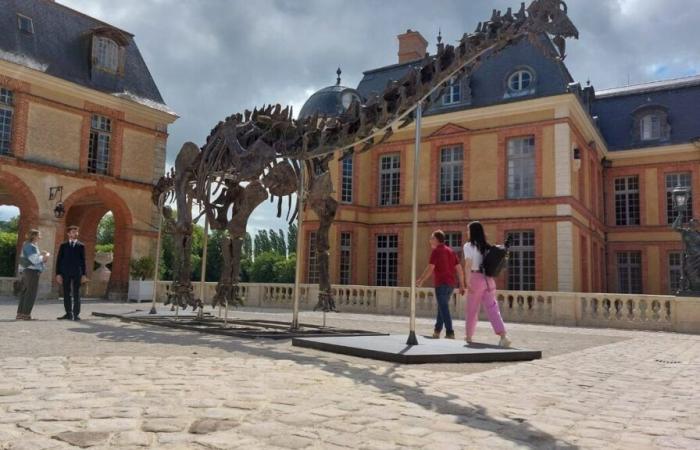 Soon the moment of truth for Vulcain, the giant dinosaur sold at auction in Dampierre-en-Yvelines