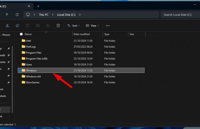 Unable to find DNS address in Windows 11