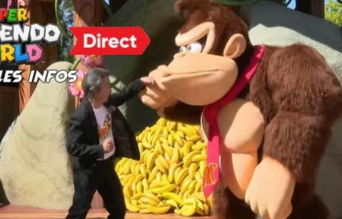 Nintendo Direct SUPER NINTENDO WORLD special Donkey Kong Country zone – An opening date and all the information – Nintendo