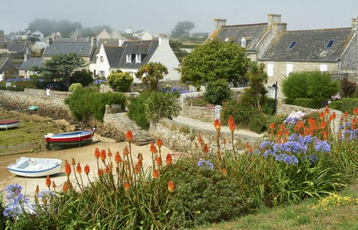 Forget Ouessant or Molène, this little-known island in Finistère will delight you for your holidays