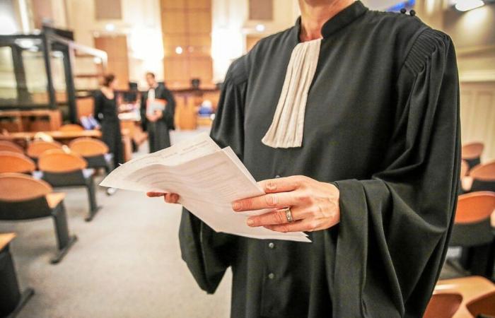 Murder of a three-year-old child before the Côtes-d'Armor Assize Court: “The injuries are very numerous, would you like me to list them all? »