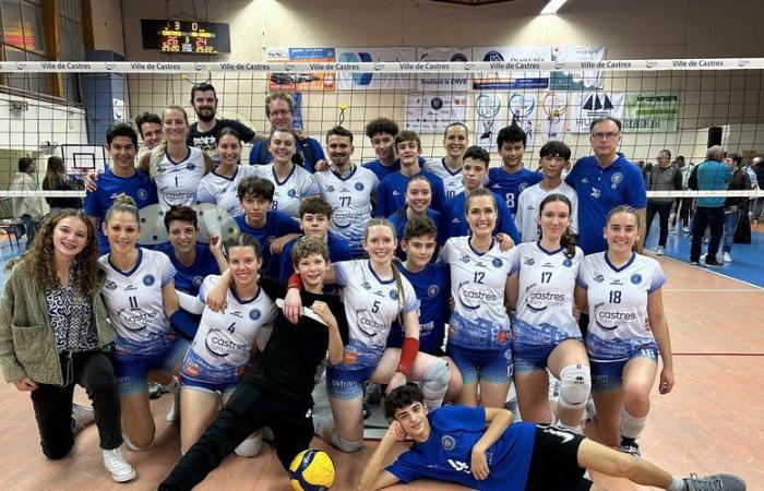 Castres. Volleyball: the Hornets continue their festival in Nationale 2