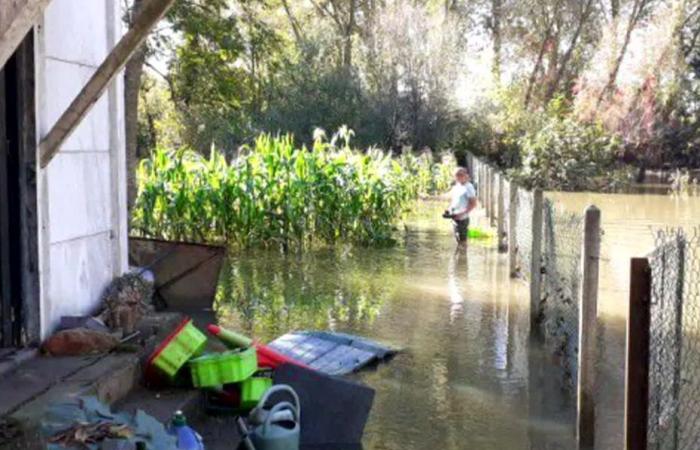 after eleven floods in one year, the fed up of these gardeners, who are asking for 30,000 euros in compensation