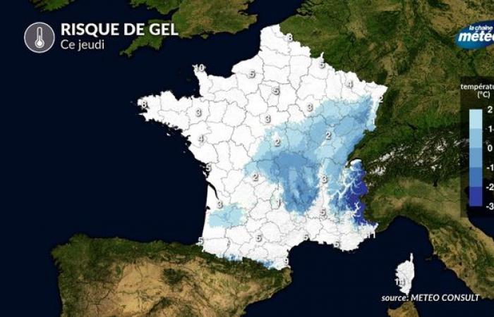 First late frosts this week: which regions will be affected?