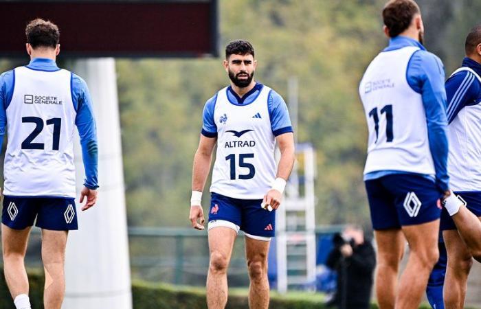 XV of France – The probable composition of the Blues to face New Zealand: Antoine Dupont left in training, Romain Buros at the back