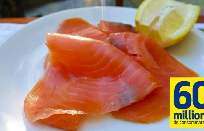 These 3 smoked salmon for the end-of-year holidays are the best for your health according to 60 million consumers