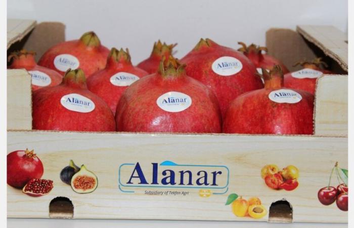 Low prices make Turkish pomegranate season difficult