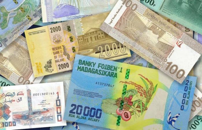 Russia and African states in favor of expanding the use of national currencies in trade