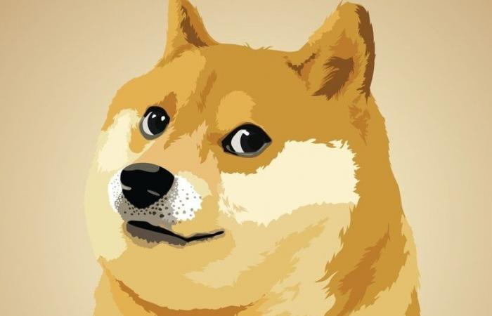 Dogecoin Peaks at 43 Cents on Continued Election Glee