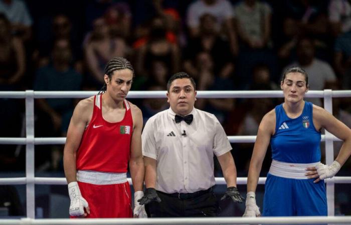 Paris 2024 Olympic Games: “You are a sister, a friend”, boxer Imane Khelif accepts Angela Carini’s apology