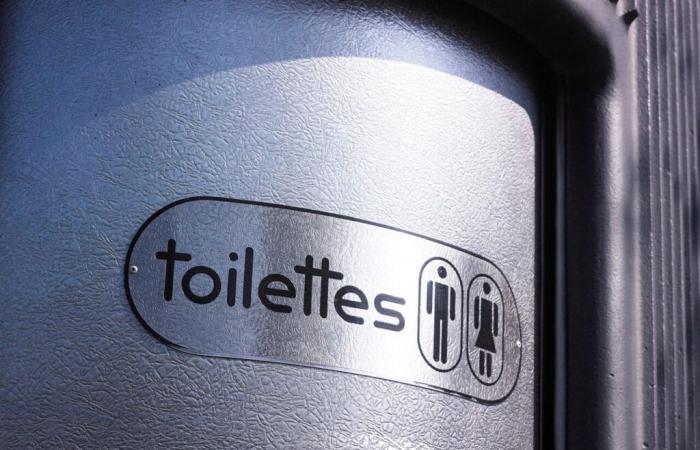 For or against public toilets on the street? The urgent referendum of this city of Seine-Saint-Denis