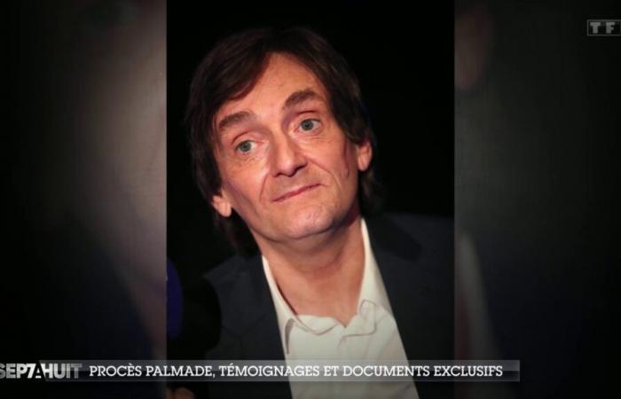 Pierre Palmade: the shocking revelations from his loved ones about his cocaine consumption