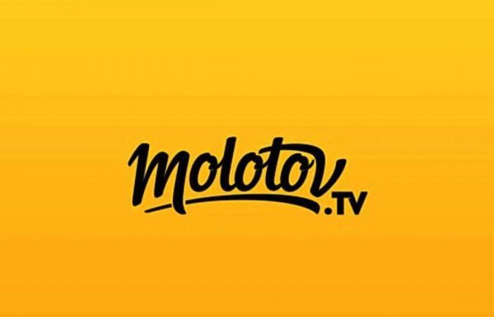 Molotov abandons his 100 million euro battle against TF1, the channels remain paying