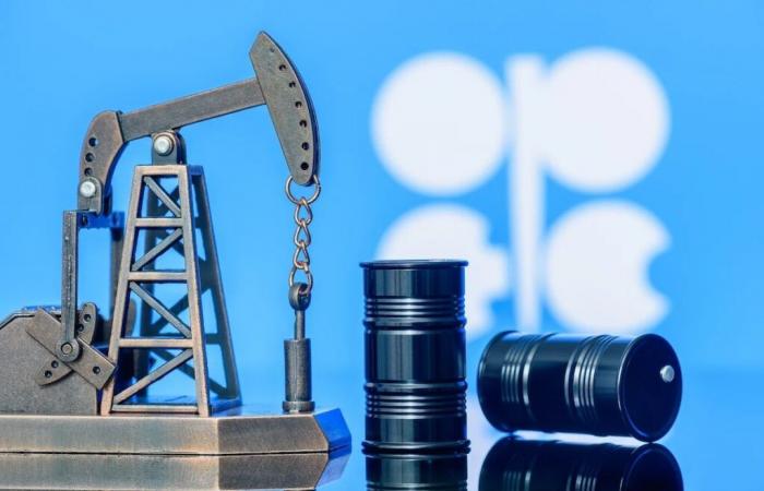 Oil: OPEC forecasts an increase in demand in 2024-2025