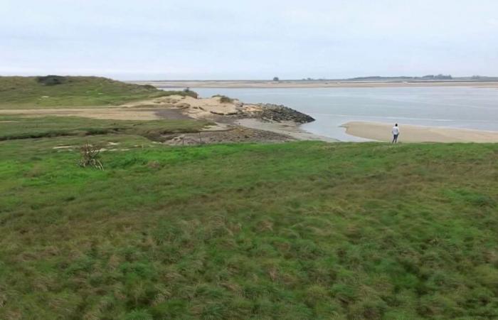 In Manche, a farmer and his wife become the first climate displaced persons in the department