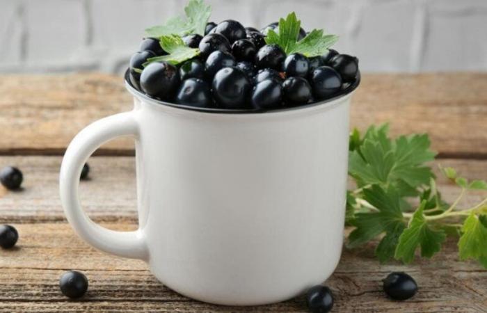 Blackcurrant against osteoporosis | LaNutrition.fr