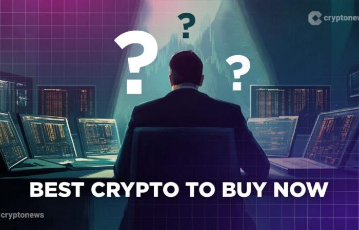 Best Crypto to Buy Now November 11