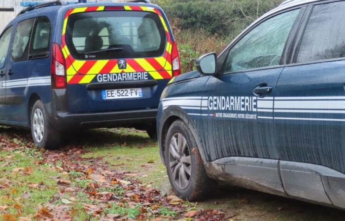 Three children found dead in Haute-Savoie, their mother wanted