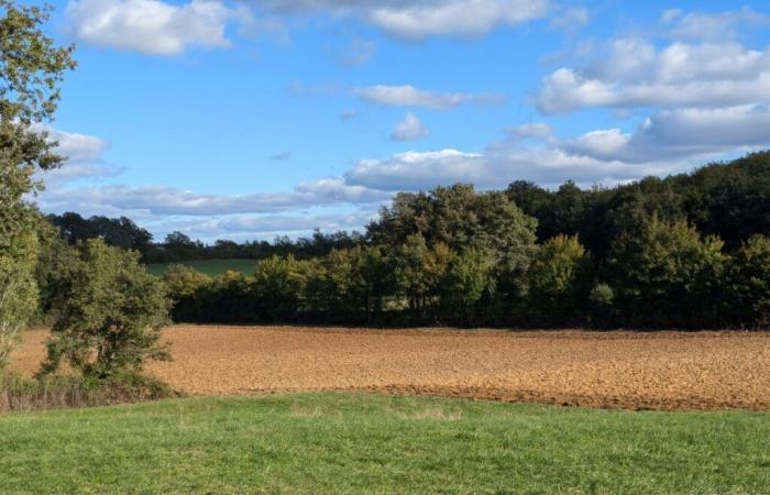 Agricultural crisis. Around twenty farmers empty their bags in front of a Lot senator