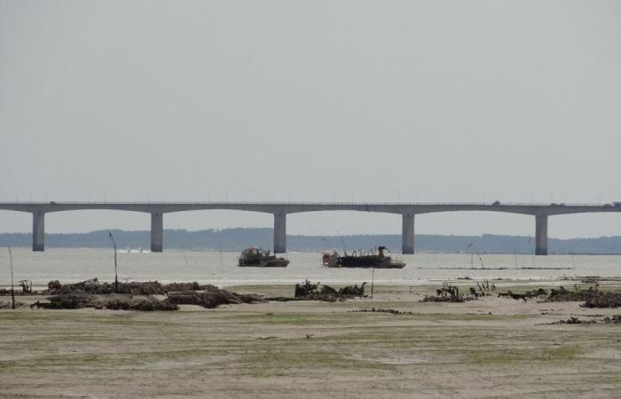 towards the end of the free access to the Oléron bridge?