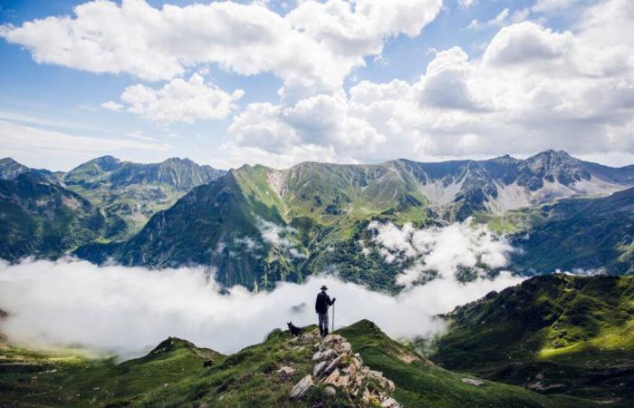 Ariège: The astonishing Orlu hunting and protection reserve, a living sanctuary