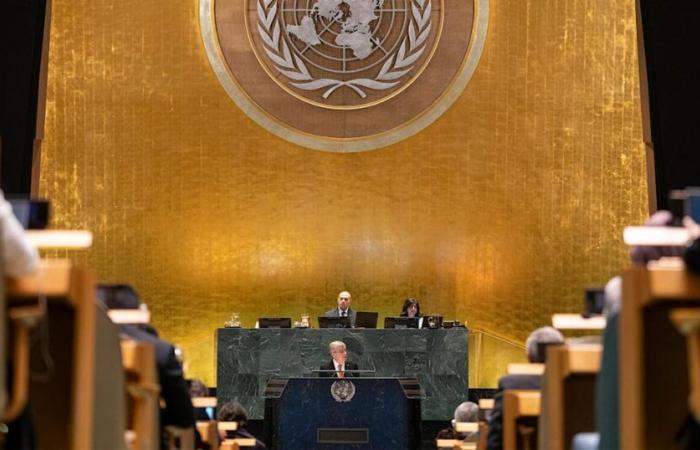 Sport brings together the 193 member states at the United Nations General Assembly