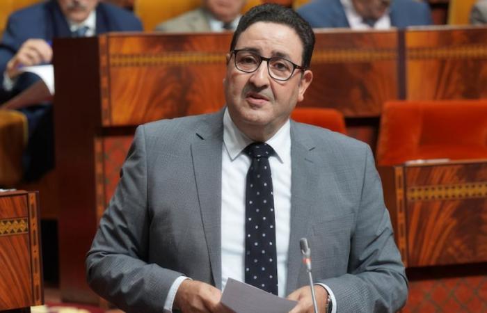 Rail: the Minister of Transport announces a project for a train factory in Morocco