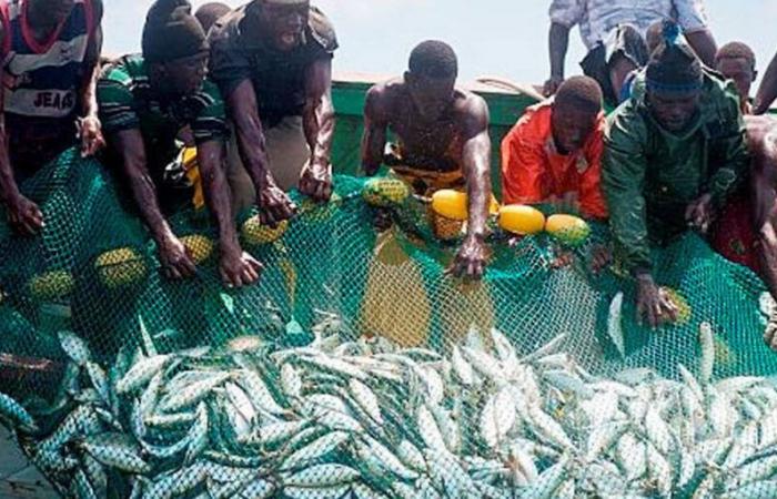 END OF EU-SENEGAL FISHERIES AGREEMENTS A WHEW OF RELIEF