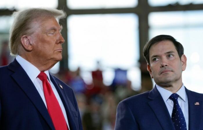 Trump expected to pick Florida Senator Rubio as top diplomat, reports say | Politics News