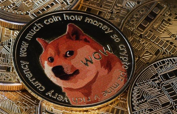 Dogecoin surges 20% after Trump announces a Department of Government Efficiency — DOGE