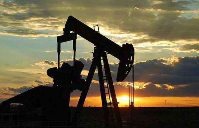 According to OPEC: Growth in oil demand revised downwards in 2024-25