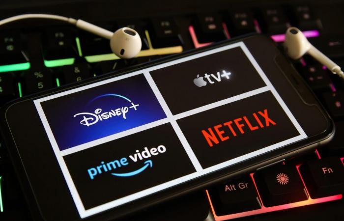 Who are the “pausers”, these users who harm Netflix, Disney+ or Prime Video?