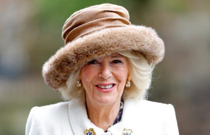 Queen Camilla limits engagements as chest infection continues