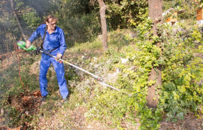 Drome. The obligation to clear brush is required in 242 municipalities, which you risk in the event of non-compliance