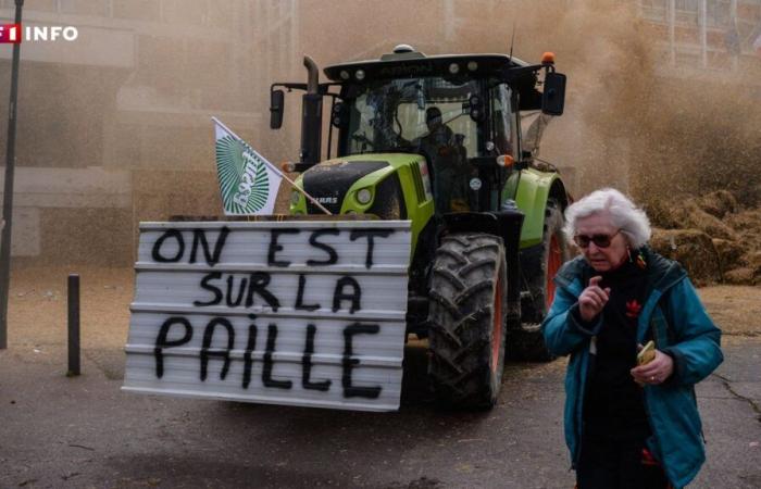 Angry farmers: why the mobilization is resuming almost everywhere in France