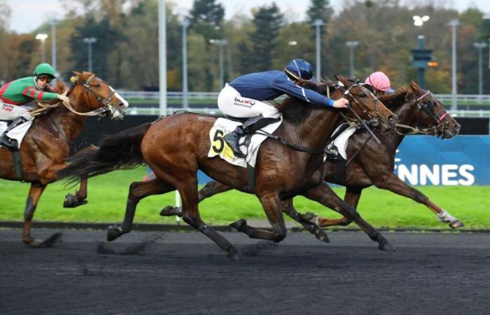 Kaya Dream wins by a narrow margin in the Prix Cénérie Forcinal (Gr.II)