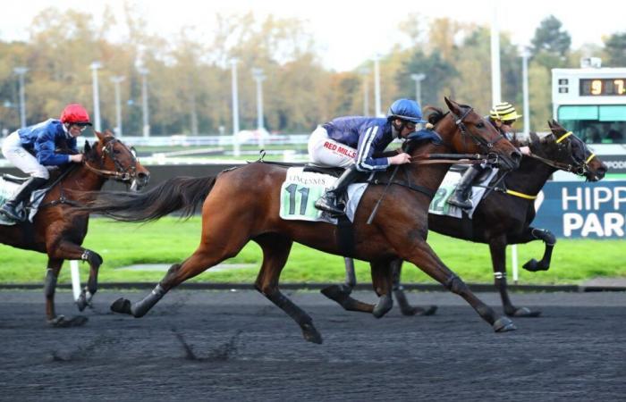 Long Island wins with Mathieu Mottier this Tuesday in Vincennes